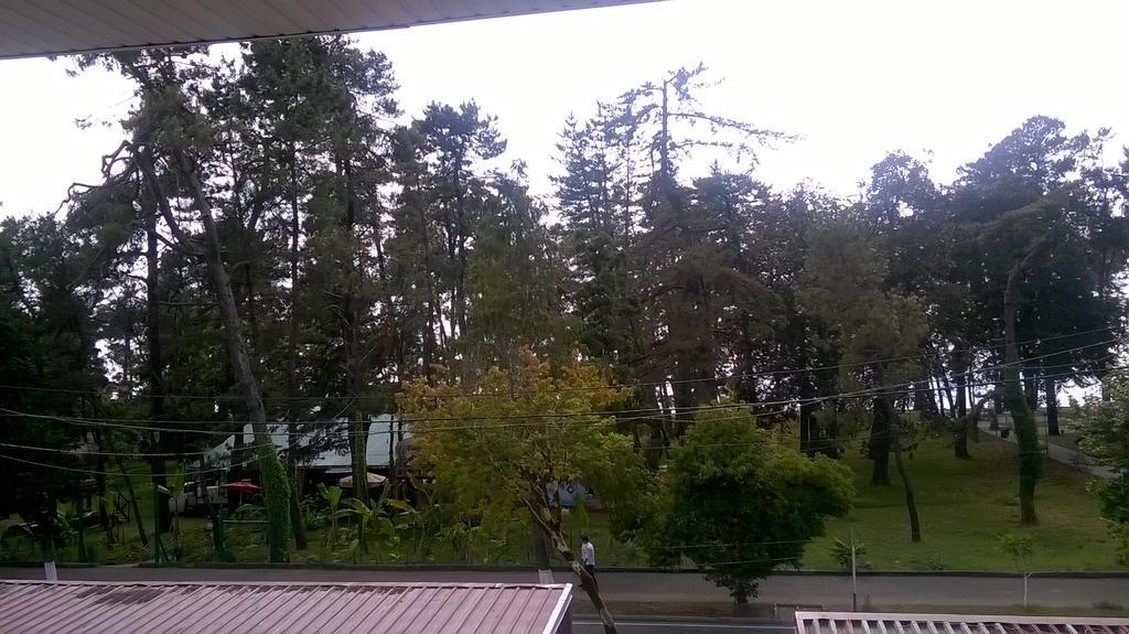 Guest House Kobuleti On Aghmashenebeli Buitenkant foto
